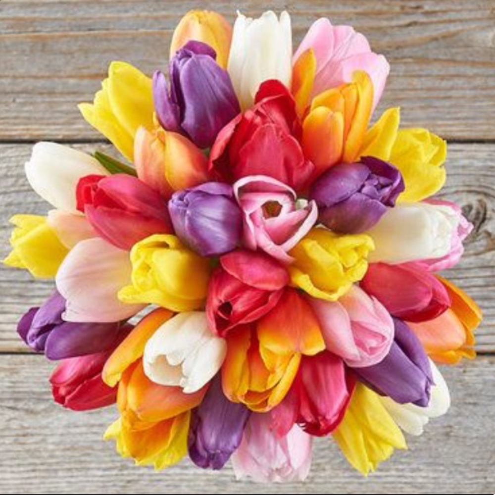 Meet your Posher, Rachel